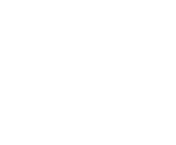 Fansly Logo
